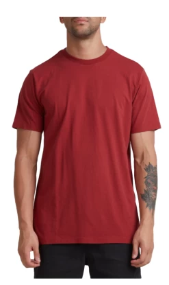 RVCA Washed Mens T-Shirt Rosewood