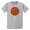 Santa Cruz Classic Dot Youth T-Shirt Grey Marle