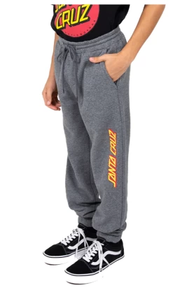 Santa Cruz Classic Strip Youth Track Pants Grey Marle